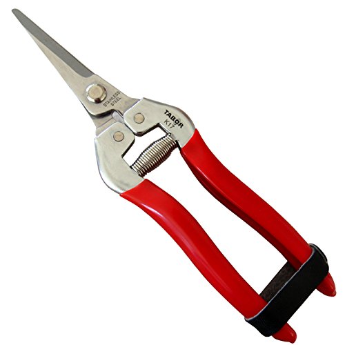 TABOR TOOLS Pruning Shears Florist Scissors MultiTasking Garden Snips for Arranging Flowers Trimming Plants and Harvesting Herbs Fruits or Vegetables K17A (Straight Stainless Steel Blades) 